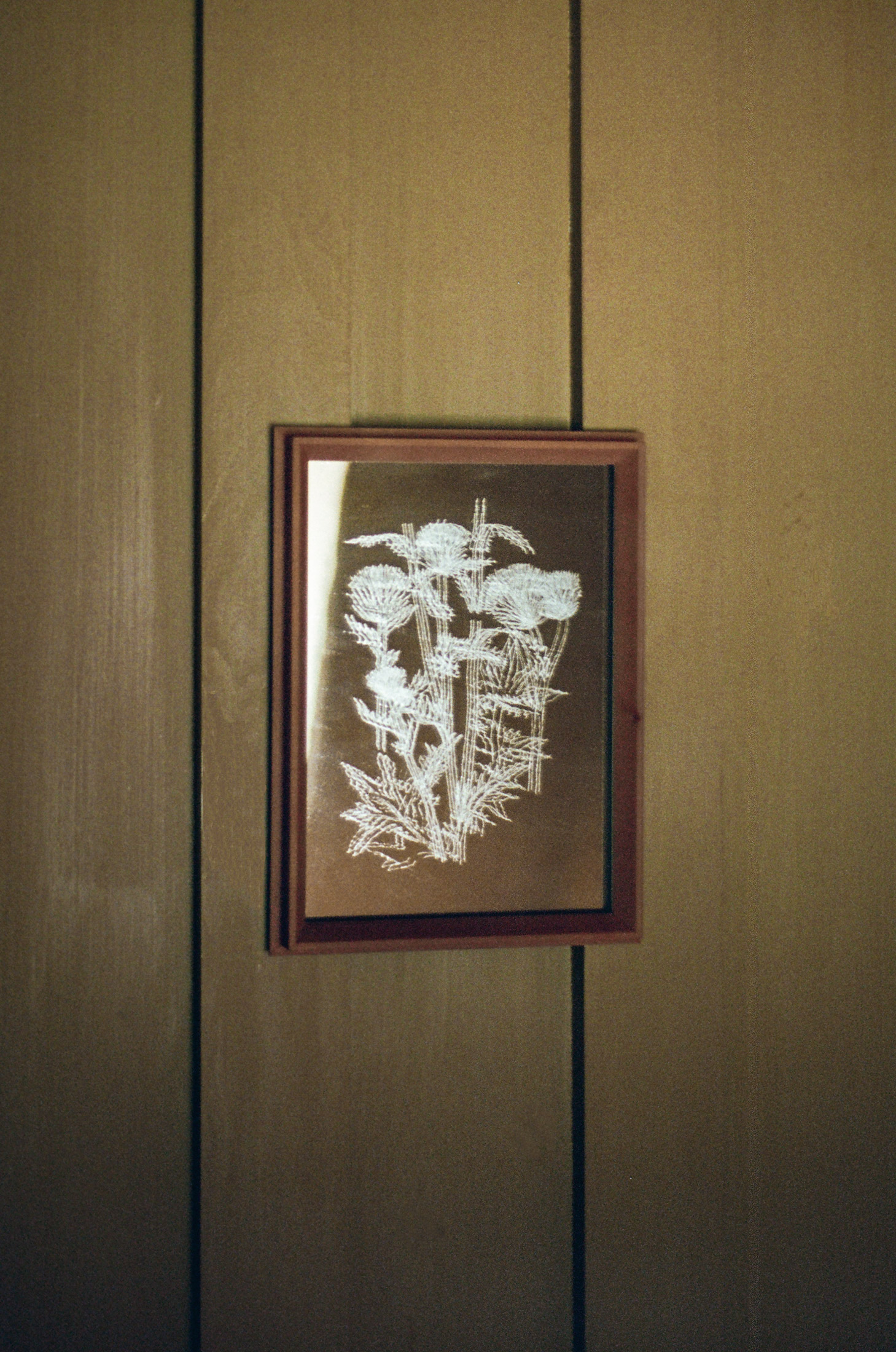 MO1 Pear wood Frame with Limited Edition Flower engraving