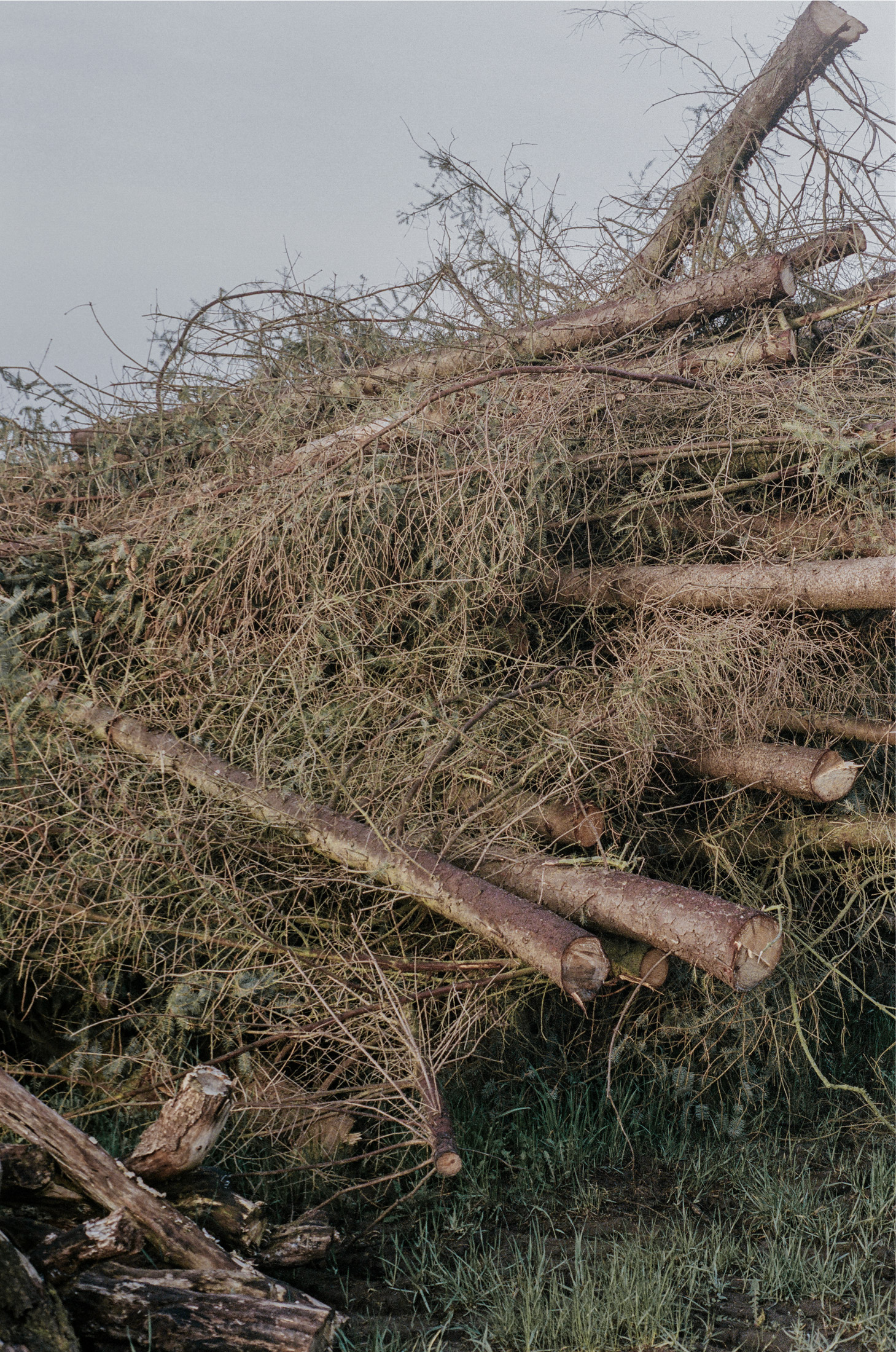 Pile of three trunks outside Dinesen Country Home
