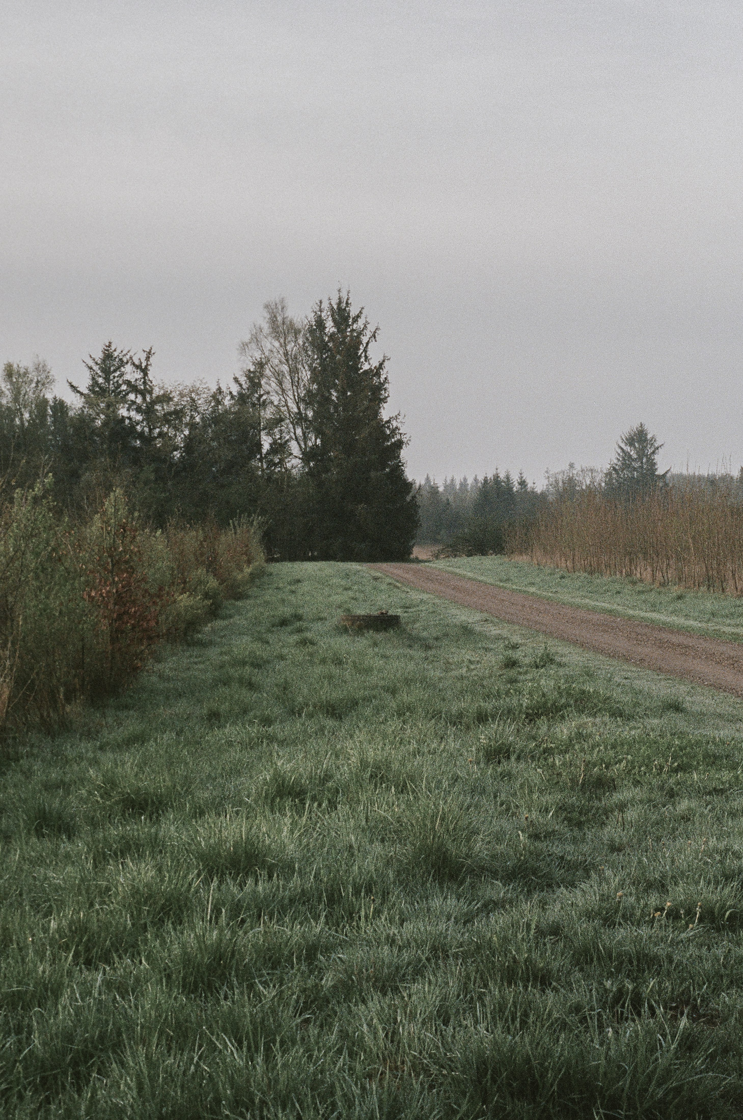 Nestled amid forestry, open meadows and rivers lies the Dinesen Country Home