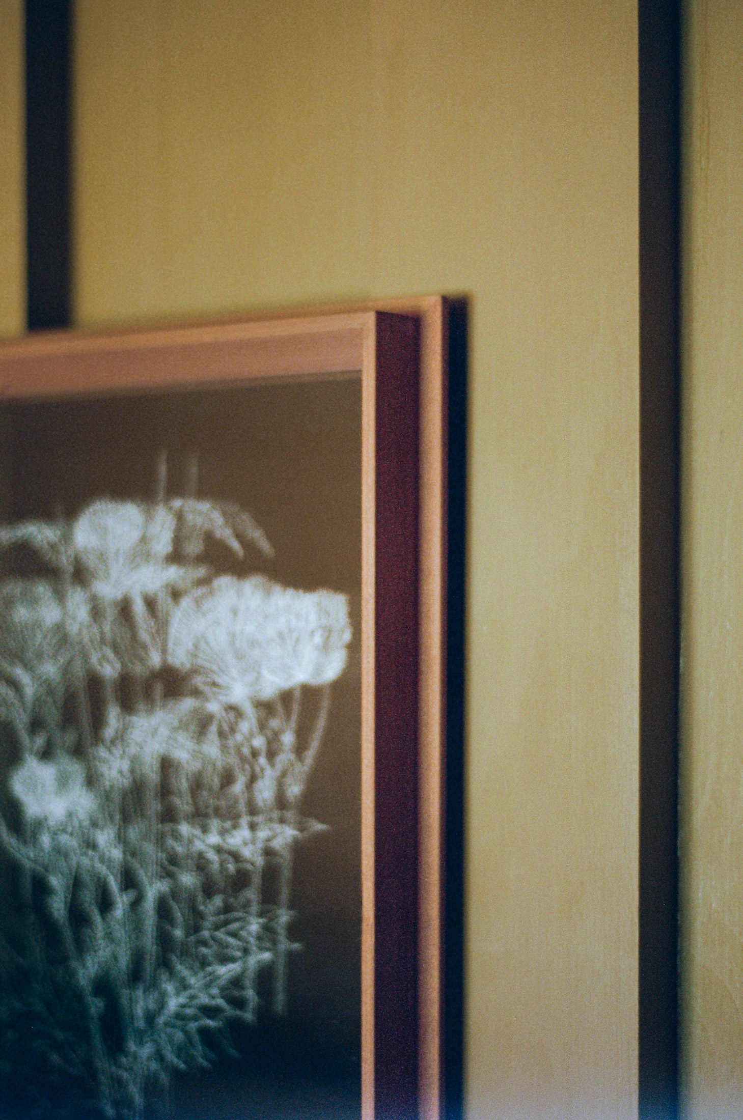 MO1 Pear wood Frame with Limited Edition Flower engraving