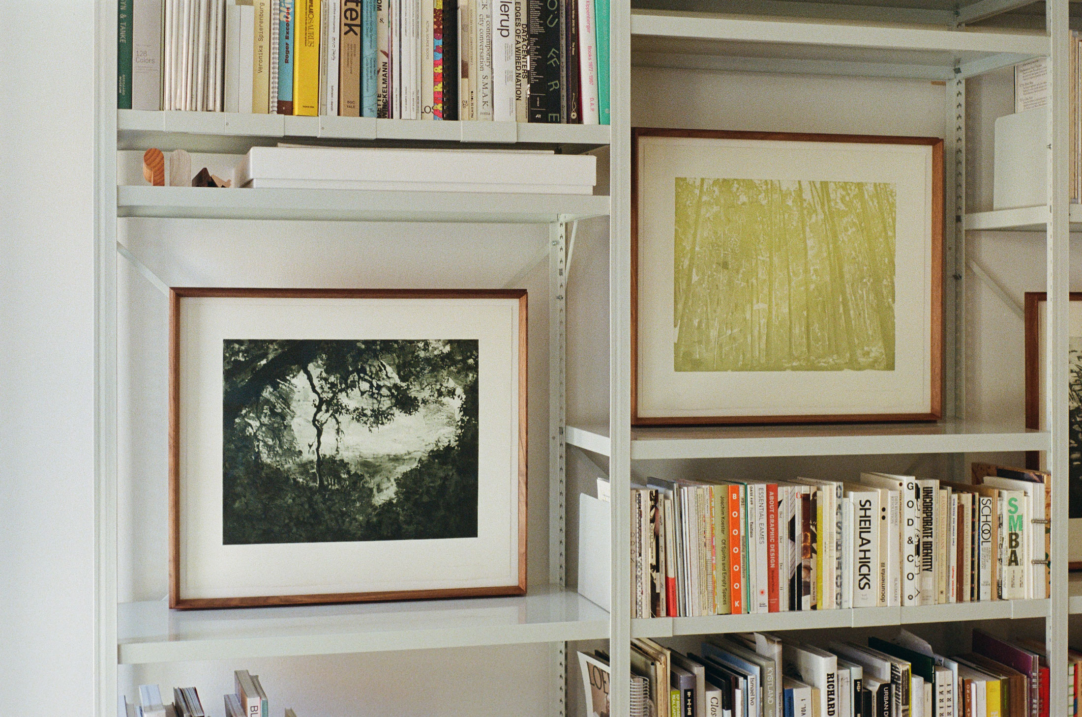 bahraini–danish frame in European Cherry