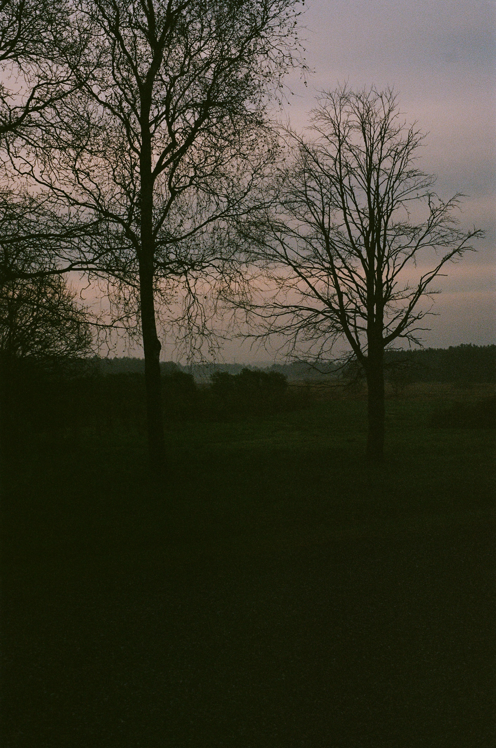 Dinesen Country Home surroundings in Southern Denmark
